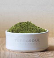 TerraSoul Organic Hemp Protein Powder
