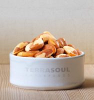 Terrasoul Superfoods Organic Raw Brazil Nuts