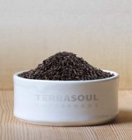 TerraSoul Organic Black Sesame Seeds
