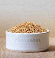 TerraSoul Organic Raw Golden Flax Seeds