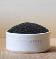 TerraSoul Organic Black Cumin Seed