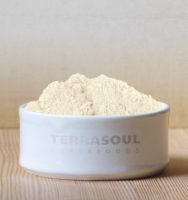 TerraSoul Organic Psyllium Husk Powder