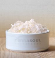 TerraSoul Raw Organic Coconut Chips