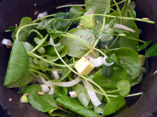 Medicinal Chicken Soup + Watercress Fennel Salad